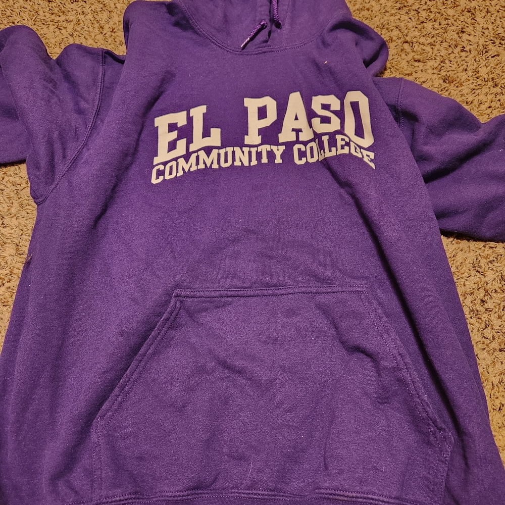 Gildan Heavy Blend Purple Hoodie